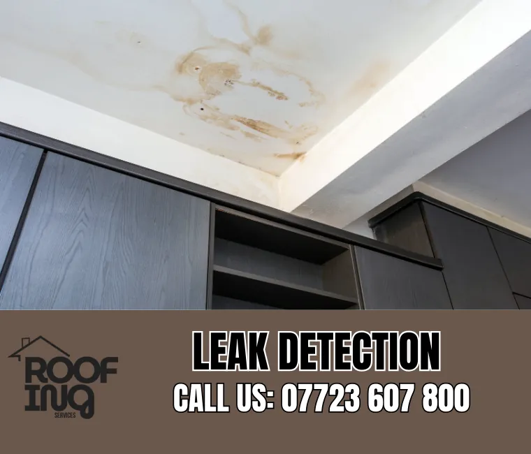 Roof leak detection and repair in Brixham